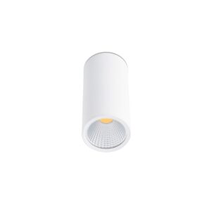 23022 REL PLAFON BLANCO LED 15W 2700K 60° scaled