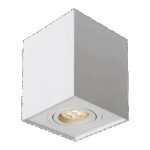 49877 Carre 376210 Plafon Blanco Texturado LED GU10 1x10W CL.I Orientable