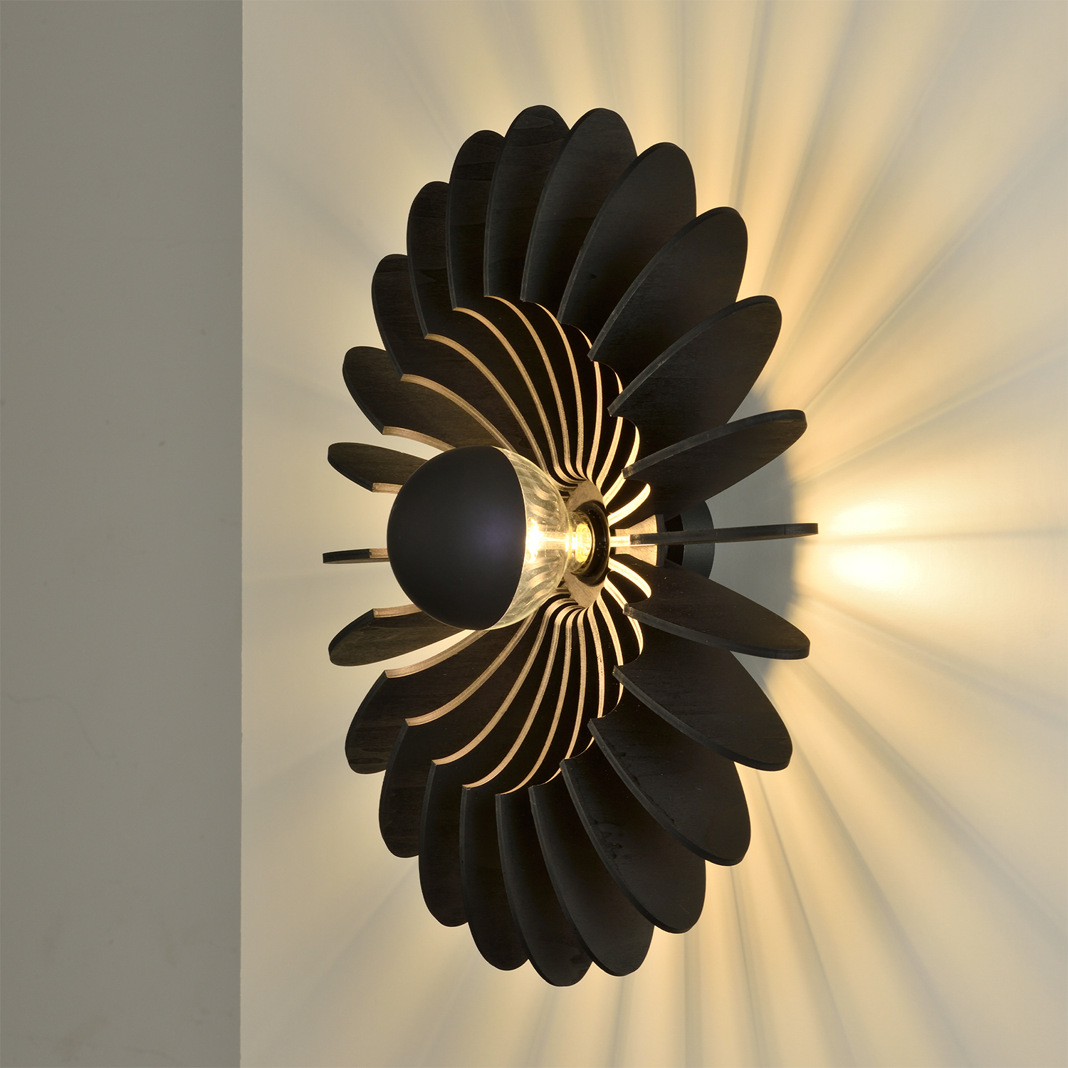 ROSA DEL DESIERTO A3912260N 02