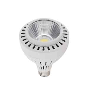 lampara led 30w e27 par30 3000k.png