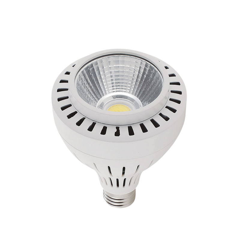 lampara led 30w e27 par30 3000k.png