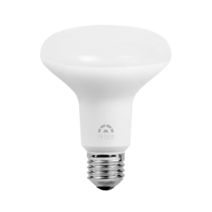 lampara r90 e27 12w 5500k.png